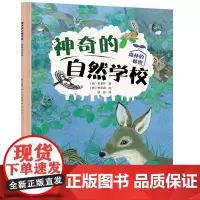 正版书籍 神奇的自然学校 森林的秘密 自然科学 儿童读物 森林的秘密儿童读物 学龄前儿童 自然科学书籍 辽宁科学技术出