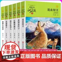 沈石溪品藏书系 混血豺王/疯羊血顶儿/红飘带狮王/双面猎犬/虎娃金叶子/雄狮去流浪共6册 升级版 动物小说 浙江少年儿童