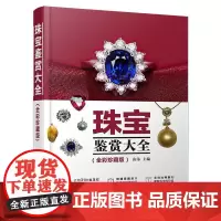 珠宝鉴赏大全 全彩珍藏版 珠宝首饰鉴赏书籍 珠宝玉石选购与鉴别方法 宝石鉴定入门书珠宝鉴定与选购从新手到行家选购保养书