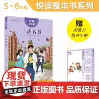 悦读整本书 非法智慧 小学生课外阅读书籍经典儿童文学 安徽少年儿童出版社 fb