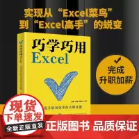 巧学巧用Excel:迅速提升职场效率的关键技能数据分析数据整理电商运营新手学excel从入门到精通从菜鸟到高手北京大学出