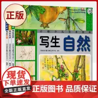 正版 青藤少儿美术教程 写生生活+写生自然+写生动物 全3册 6-14岁青少年素描彩铅画临摹技法绘画