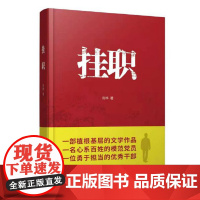 正版 挂职 宫桦 著 中国言实出版社 一部描摹挂职干部的社会综合题材小说 官场小说书籍图书