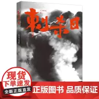 正版《刺杀日》百里无忧/著 实力作家百里无忧蛰伏多年,几易其稿,终成谍战力作谍战小说