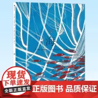 正版 海 科普海洋图画儿童文学绘本 湖南美术出版社 9787535695956