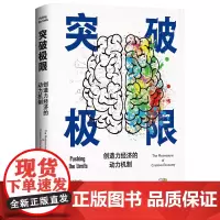 正版 突破极限:创造力经济的动力机制 启凡 著 东方出版中心 全新书籍
