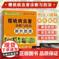 樱桃病虫害诊断与防治原色图谱 视频教学 樱桃树栽培种植书籍 大樱桃车厘子迎庆果樱珠修剪花果管理土肥水管理 果树种植书