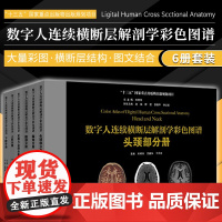 数字人连续横断层解剖学彩色图谱(全套六本)