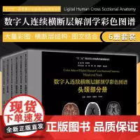 数字人连续横断层解剖学彩色图谱(全套六本)