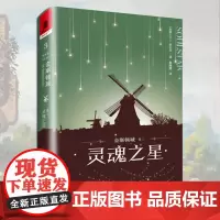 正版《金斯顿城(卷三)灵魂之星》独角兽书系[加拿大]C.L.波尔克世界奇幻奖长篇小说奖获奖作品终结篇入围星云奖决选名单