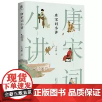 正版 大学问·唐宋词小讲 王兆鹏 著 广西师范大学出版社13堂精彩唐宋词课20余位唐宋词代表人物的人生经历唐宋词史中