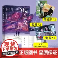 附海报+明信片+新增番外折页+书签 猫咪的玫瑰一十四洲 著北京联合出版继小蘑菇后 一十四洲新书晋江文学一起流浪宇宙科幻小