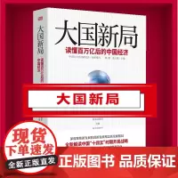 正版]大国新局:读懂百万亿后的中国经济 全新解读中国“”“十四五”时期开局战略 何毅亭 张卓元 林毅夫 迟福林联袂