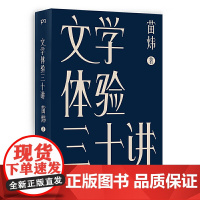 正版 文学体验三十讲 苗炜 著浦睿文化 三十个文学之夜 心灵解药 外国文学 李敬泽、毛尖、王小峰等 湖南文艺出版社