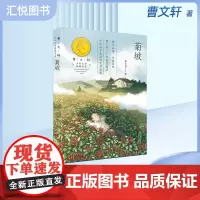 菊坡书 曹系列少年文学典藏书系小学生三四五六年级课外阅读书籍9-12岁儿童文学故事书经典名著作品集中国当代小说书fbz