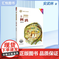 正版安武林文集树洞注音彩绘版小学生一二三年级课外书曹倾情书籍安武林幽默童话 儿童绘本故事书大全睡前故事6-7-8-9岁f