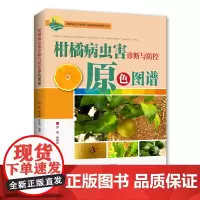[出版社]柑橘病虫害诊断与防控原色图谱 农业植保图书 果树