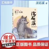 狼王宝座狼王宝座彩绘注音版动物小说,适合1-3低年级年级阅读儿童文学彩绘注音版小学生课外阅读书籍沈石溪的书短篇小说fbz