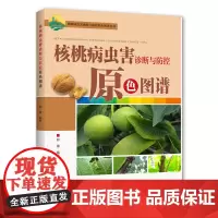 [出版社]核桃病虫害诊断与防控原色图谱 农业植保图书 果