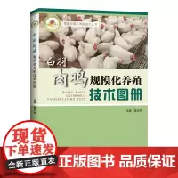 [出版社]白羽肉鸡规模化养殖技术图册 畜禽规模化养殖丛书