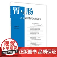 胃与肠:消化道影像的形成过程