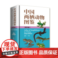 [出版社]中国两栖动物图鉴:野外版 图书 费梁主编 两栖动