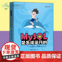 正版 MySQL是怎样运行的:从根头上理解 MySQL 高性能MySQL必知必会深入浅出基础教程数据挖掘数据分析原理