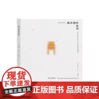 城市感性家具 全彩书籍 褚军刚 许月兰 赵晓路 城市公共空间建设 城市空间设计 东华大学出版社