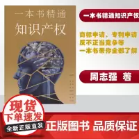 一本书精通知识产权 关于你知识产权的保护 东华大学出版社 周志强
