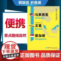 俄罗斯马来西亚文莱 新加坡朝鲜韩国 美国 埃及 伊朗 巴西 地图世界分国地理地图历史社会文化交通旅游城市景点2020