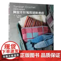 阿富汗针编织进阶教程 编织图书 突尼斯针