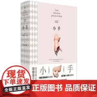 正版 小手 安德烈斯·巴尔瓦 著童亚星 刘润秋 译 理想国 /广西师范大学出版社中篇小说大师的集大成之作外国文学 小