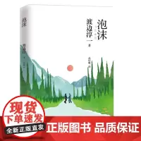 泡沫 渡边淳一首部"黑暗系”爱情小说