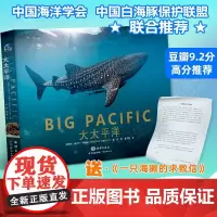 [微瑕]大太平洋 海洋生物大白鲨水母大章鱼海洋世界科普儿童绘本读物优秀科普 海洋生物 海洋百科全书 海洋书籍 海底世界