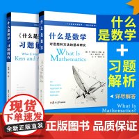 正版书[单套自选2册]什么是数学对思想和方法的基本研究第四版+什么是数学习题解析套装 R柯朗 H罗宾著 复旦大学出