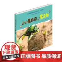 正版 小小昆虫记.屎壳郎 暑期亲子精美绘本