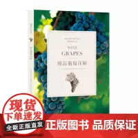 [处理]精品葡萄详解