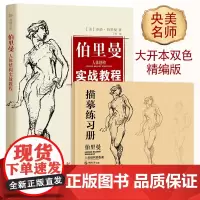 正版 伯里曼人体结构实战教程 伯里曼人体结构教学 人物速写入门基础教程 艺用人体解剖 漫画人物动态结构速写临摹速写书 教