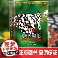 正版 重庆大学科普书籍 好奇心书系野外识别手册:常见蝴蝶野外识别手册(第2版) 黄灏 张巍巍 编
