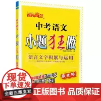 2025新版 ]恩波教育中考语文小题狂做 语言文字积累与运用提优版初三九年级中考总复习专题突破组合滚动强化综合梳理附答案