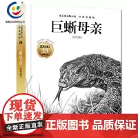 [正版] 沈石溪动物小说·经典爱藏版系列 巨蜥母亲 沈石溪35周年经典再创 9~15岁中小学生课外读物儿童文学 小鹰逆风