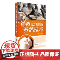 图说高效健康养鸽技术 饲料配制鸽场建设鸽场经营管理技术 肉鸽养殖书籍 品种繁殖营养需求饲料配制饲养管理常见病诊治养鸽子书