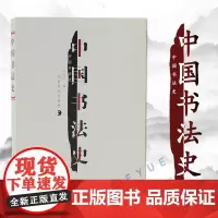 中国书法史 书法字画 沃兴华 著 书法起源甲骨文字金文书法篆书隋唐五代沈曾植书法 艺术书法史教材 湖南美术出版社