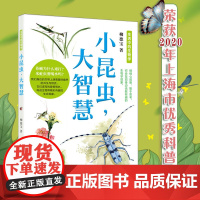 [11-14岁]小昆虫,大智慧 身边无数有趣的生物学现象 大人孩子都可以读的科普读物 认识自然 探索自然 正版 华东师范