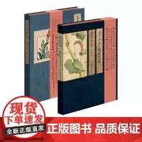 [精装彩绘]花开未觉岁月深 美了千年却被淡忘 二十四节气七十二候花信风绘本诗经名物图解古风手绘礼品中国画报出版社正版