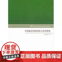 同济大学正版中国城市网络结构与经济绩效 9787560864105中国城市网络结构与经济绩效