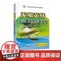 无公害水产品安全生产技术丛书 泥鳅黄鳝无公害安全生产技术 高效养泥鳅黄鳝养殖书籍 黄鳝泥鳅养殖技术大全鳝鱼繁殖防治病技术