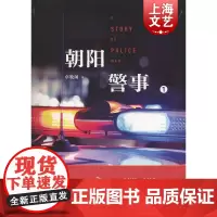朝阳警事(一)