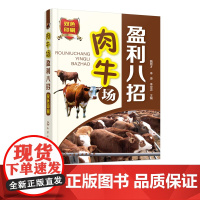 肉牛场盈利八招 犊牛的饲养管理 肉牛育肥新技术 肉牛免疫接种与药物防治指南肉牛场生产损耗控制指导 肉牛场生产管理图书籍