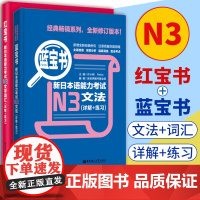 日语红蓝宝书N3 日语红宝书文字词汇+蓝宝书文法详解练习新日本语能力考试n3单词语法工具书贴合真题日语自学书籍n3考前对